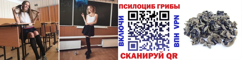 где купить наркотик Благодарный Галлюциногенные грибы мицелий